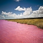 Розовое озеро Ретба2
