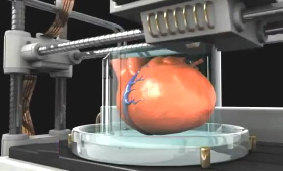 3D печать органов человека