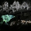 Waitomo Caves1
